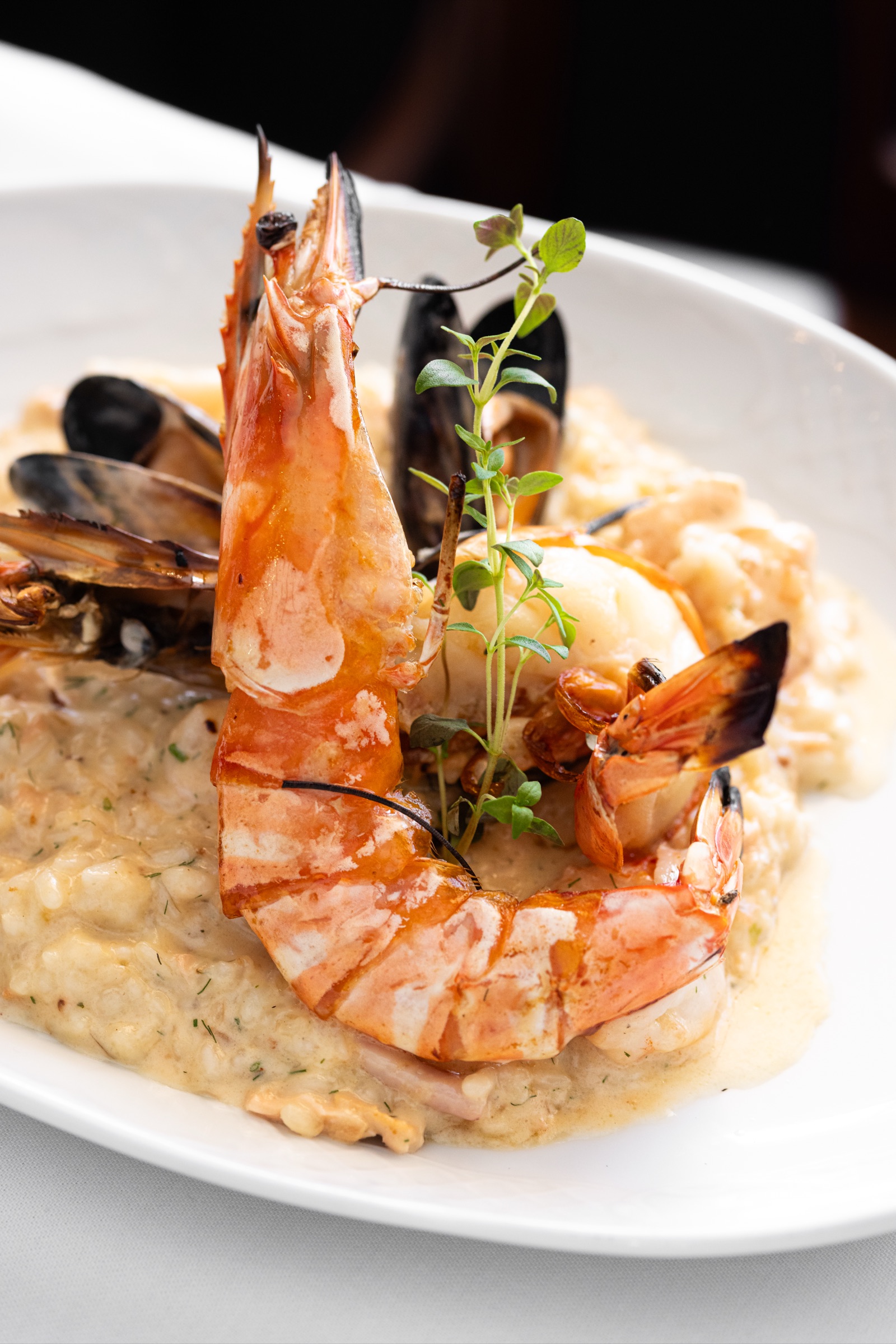 Seafood risotto